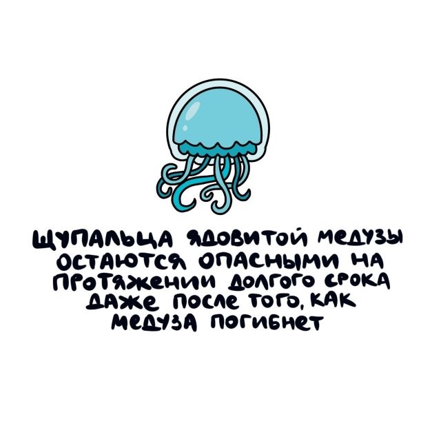 А вдруг ты не знал…
