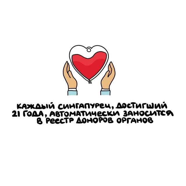 А вдруг ты не знал…