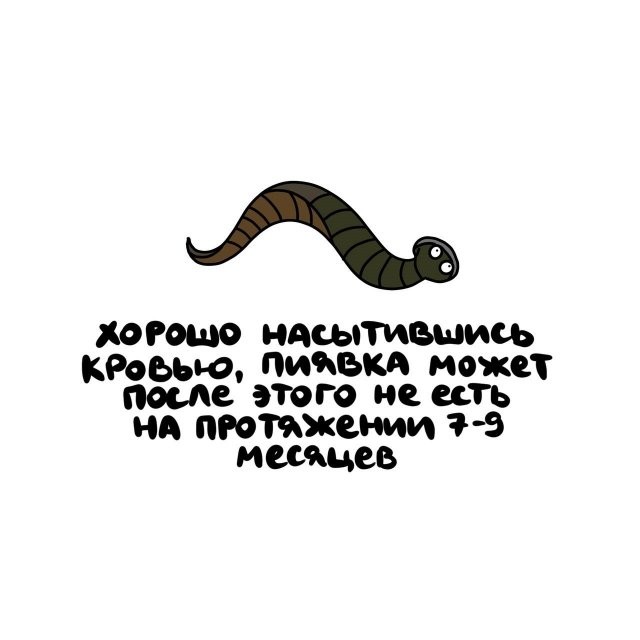 А вдруг ты не знал…