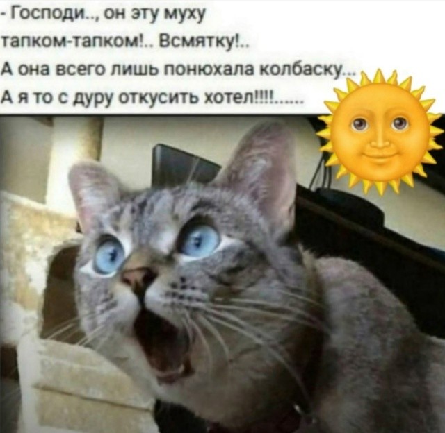Большая тарелка улыбатора
