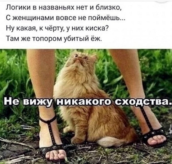 Большая тарелка улыбатора