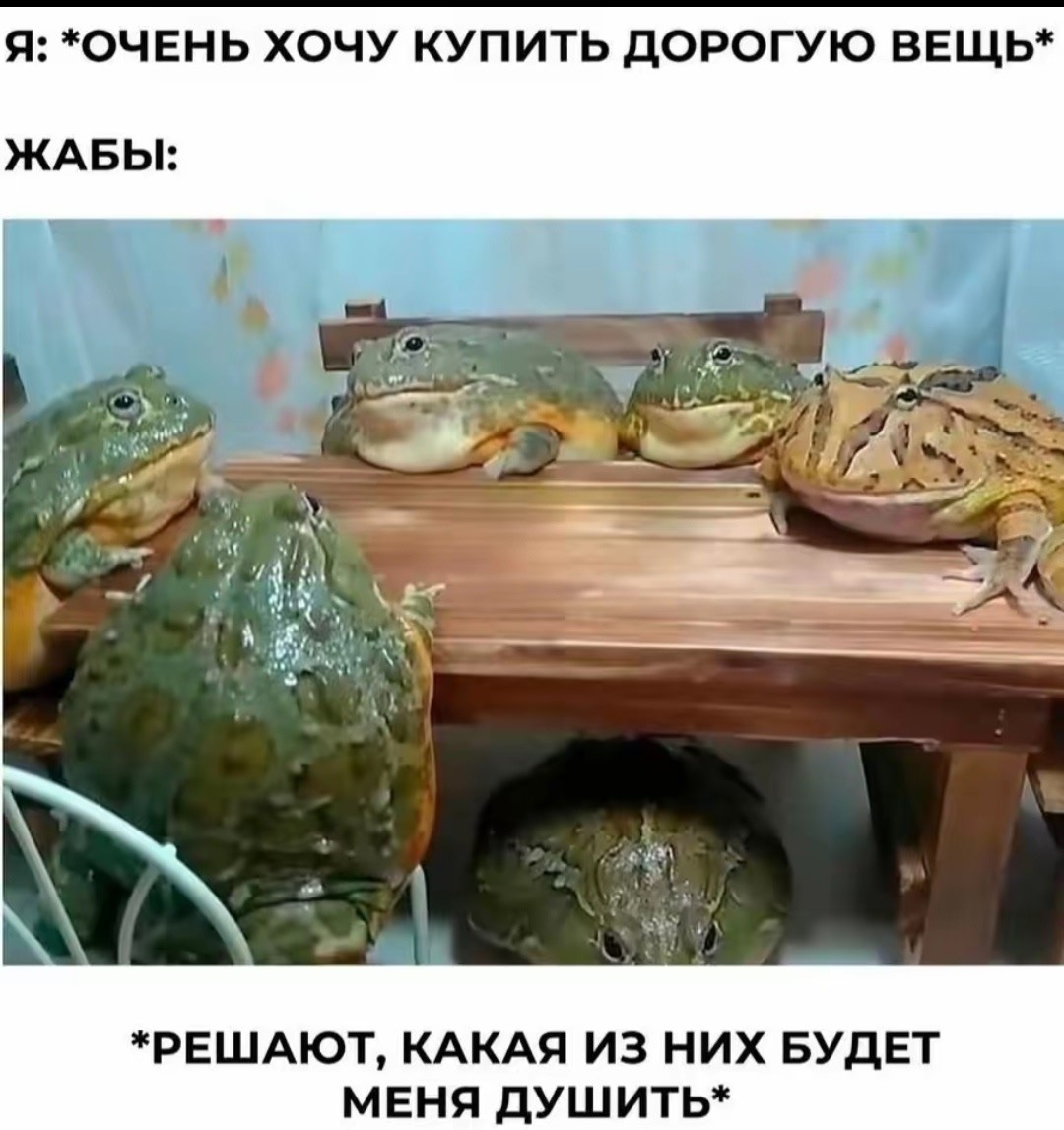 Большая тарелка улыбатора