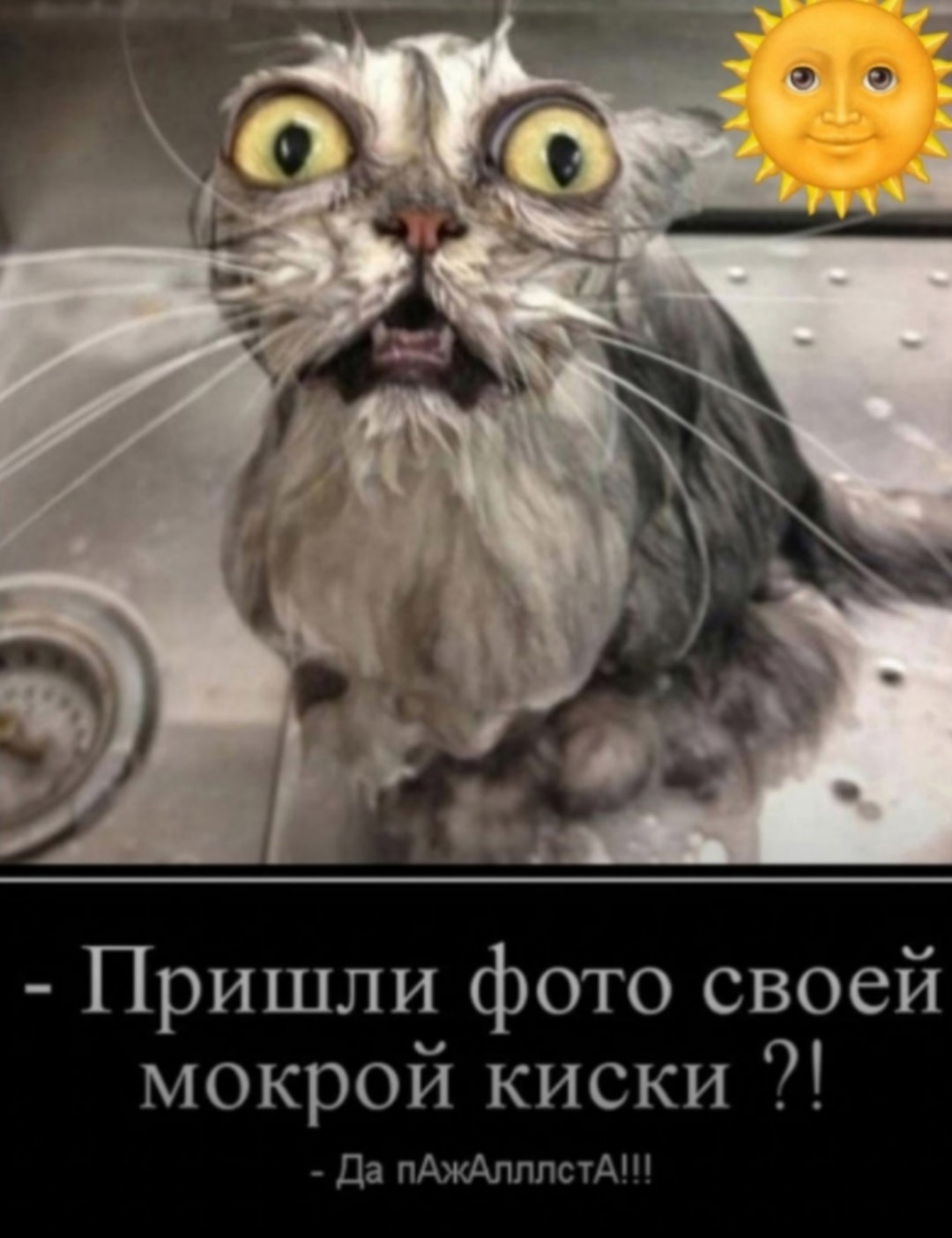 Большая тарелка улыбатора