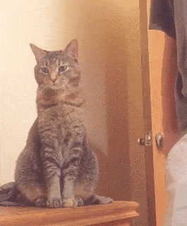 Просто гифки, всякие и&nbsp;разные