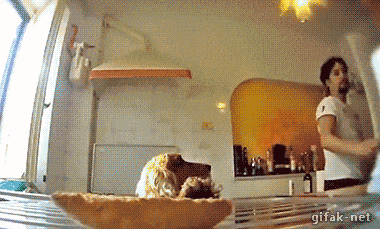 Просто гифки, всякие и&nbsp;разные