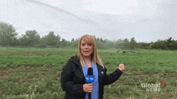 Просто гифки, всякие и&nbsp;разные