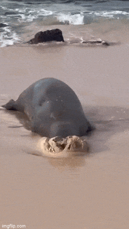 Просто гифки, всякие и&nbsp;разные