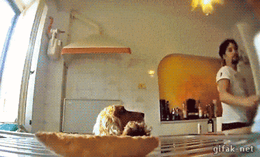 Просто гифки, всякие и&nbsp;разные