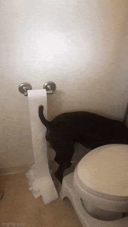 Просто гифки, всякие и&nbsp;разные