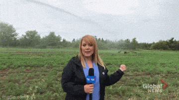 Просто гифки, всякие и&nbsp;разные