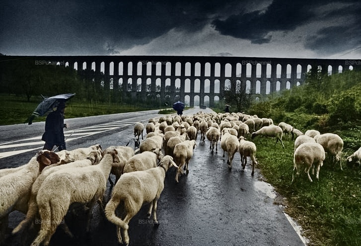 Интересные и редкие ретро-фотографии⁠⁠ Европы