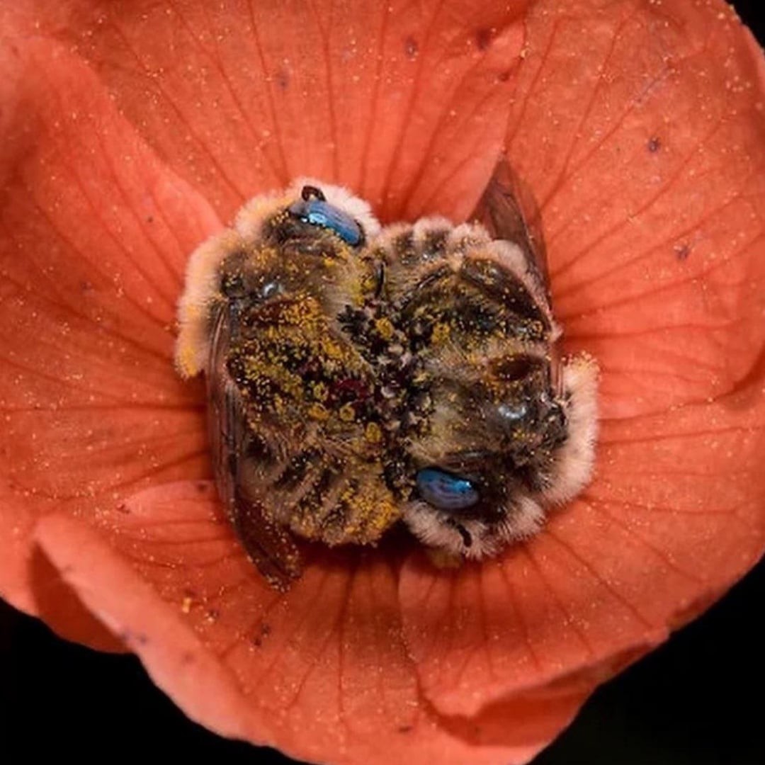 9. Спокойной ночи