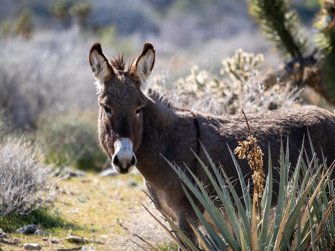 18. Главное - это спокойствие
