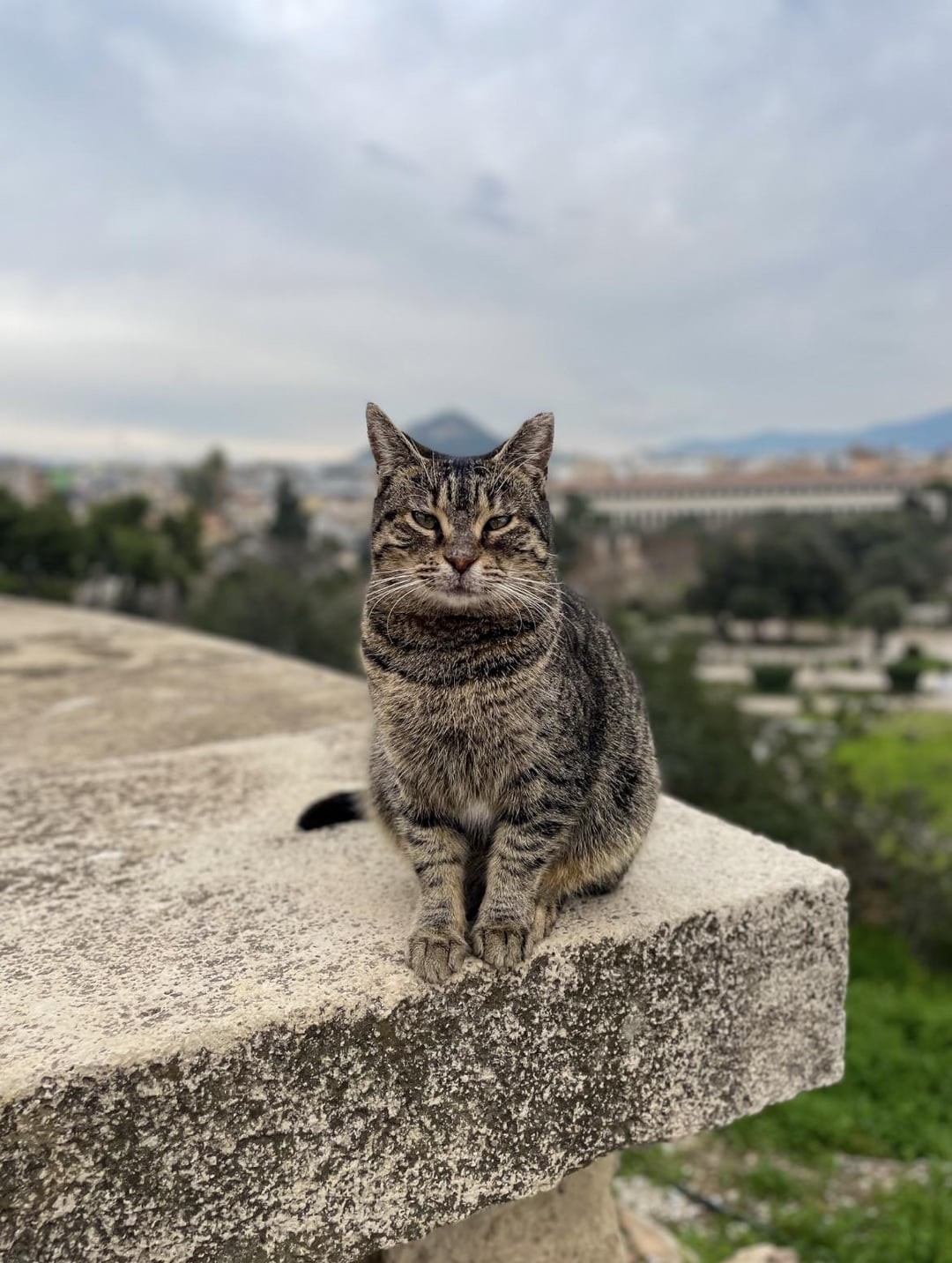 24. Дыхание древности