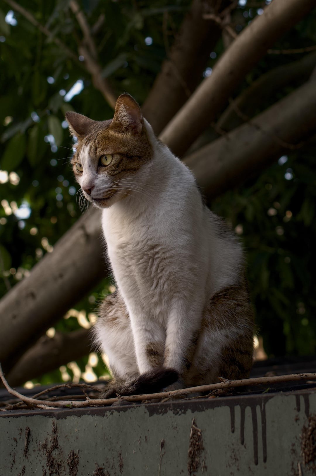 2. Созерцание мира