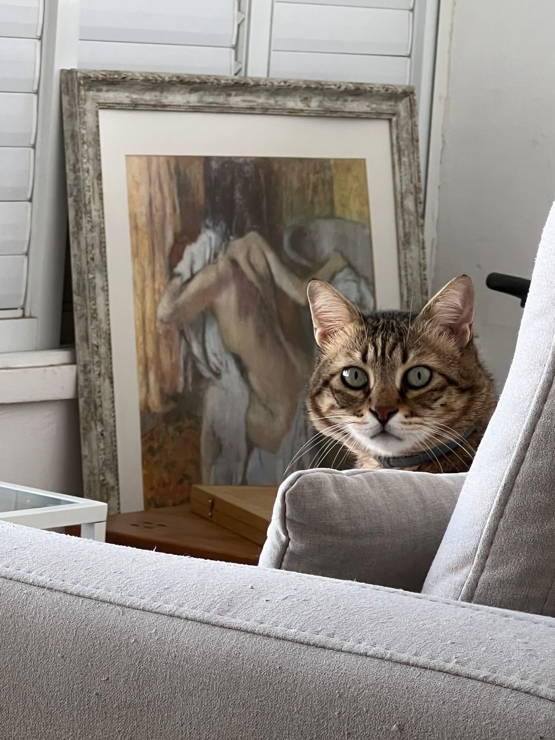 17. Я так смогу, а ты?