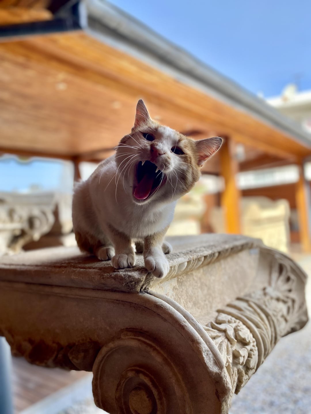 5. Заходите в наш музей!