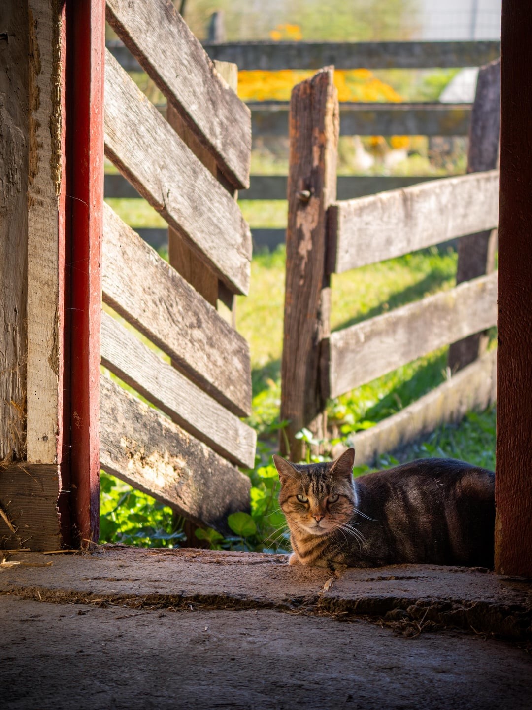 10. Ты заходи, если что