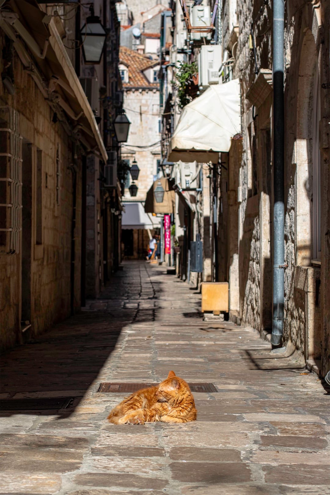 14. Город солнечных зайчиков
