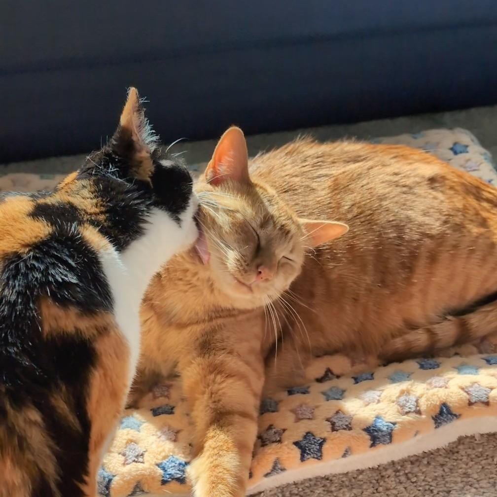 26. Моя любовь