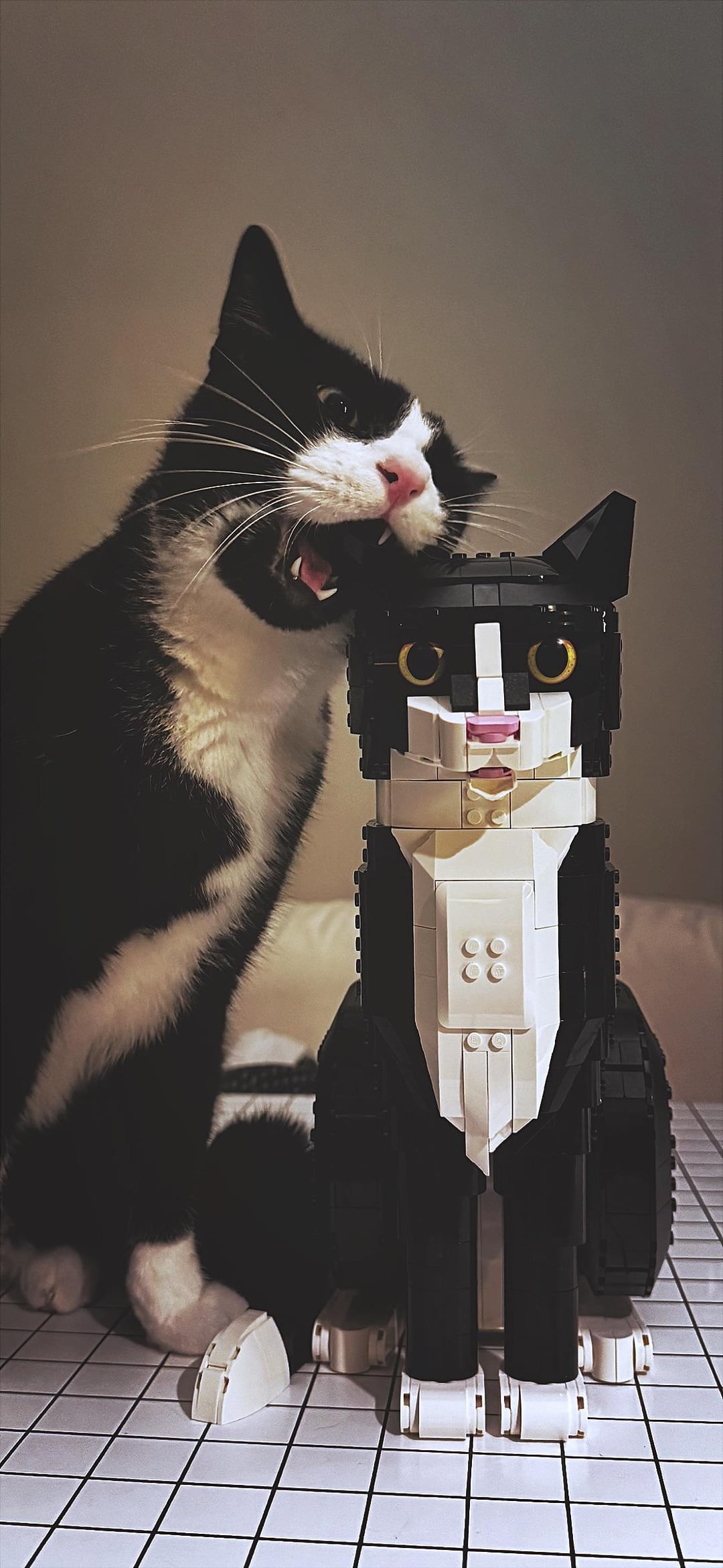 9. Ты мне не нравишься, самозванец!