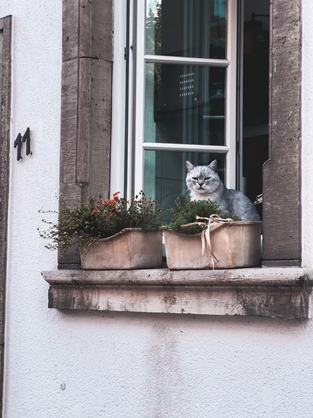 13. Налетела грусть