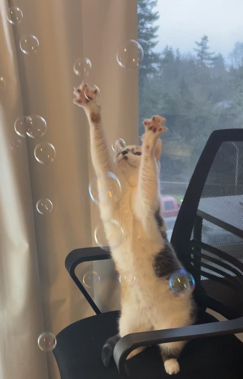 7. Пузыряем!