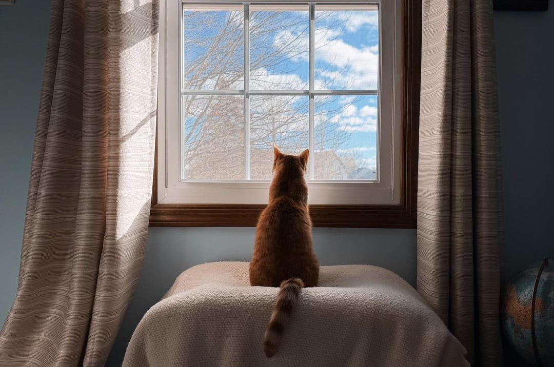 8. Здравствуй, весна