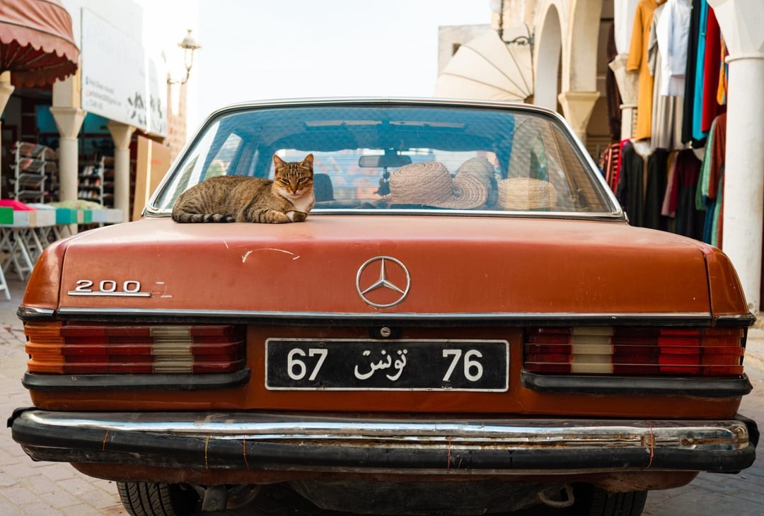 15. Автолюбитель