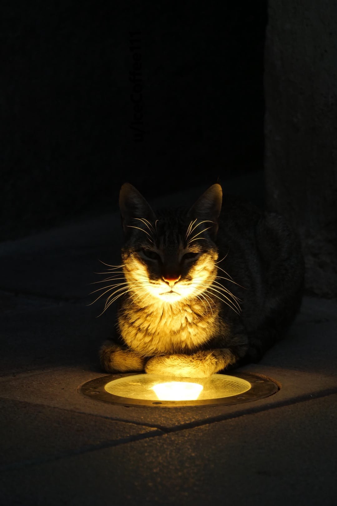 18. Магия ночных улиц