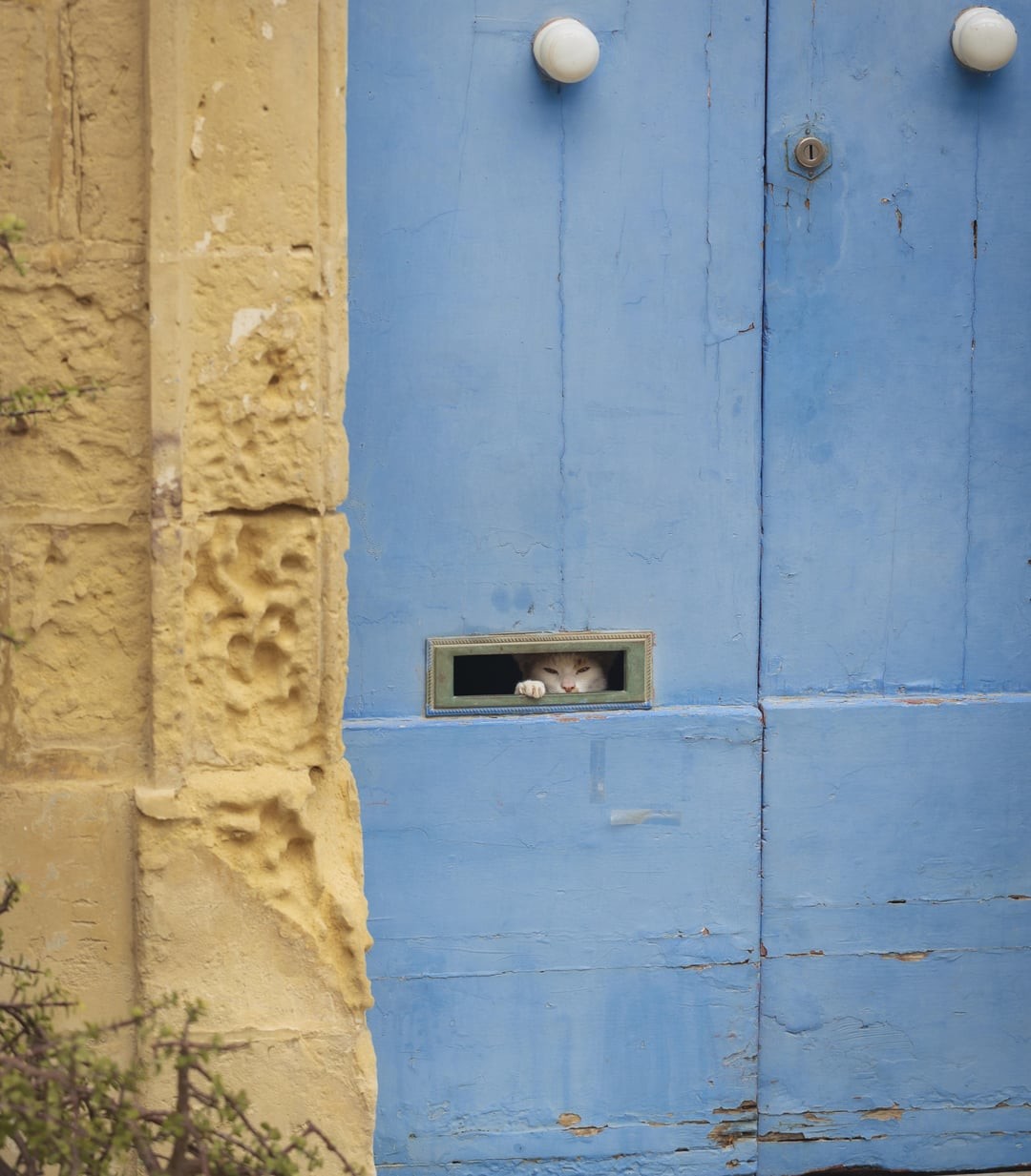 27. Я вас вижу