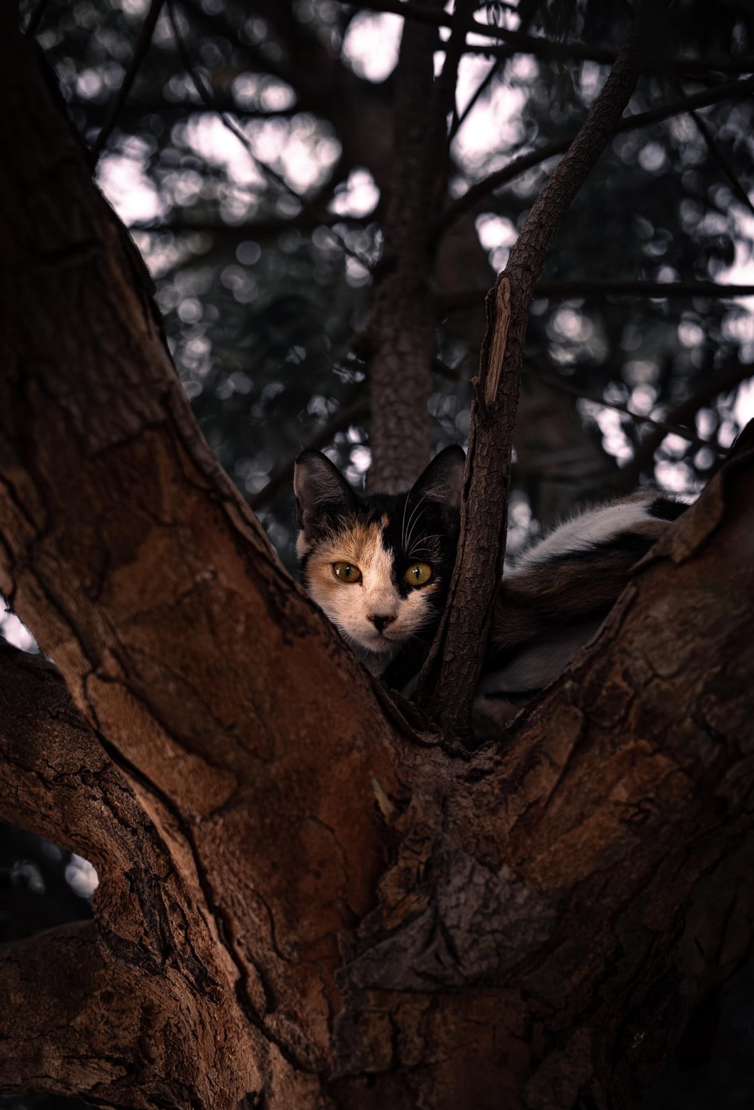 20. Ты меня не видел, я тебя тоже