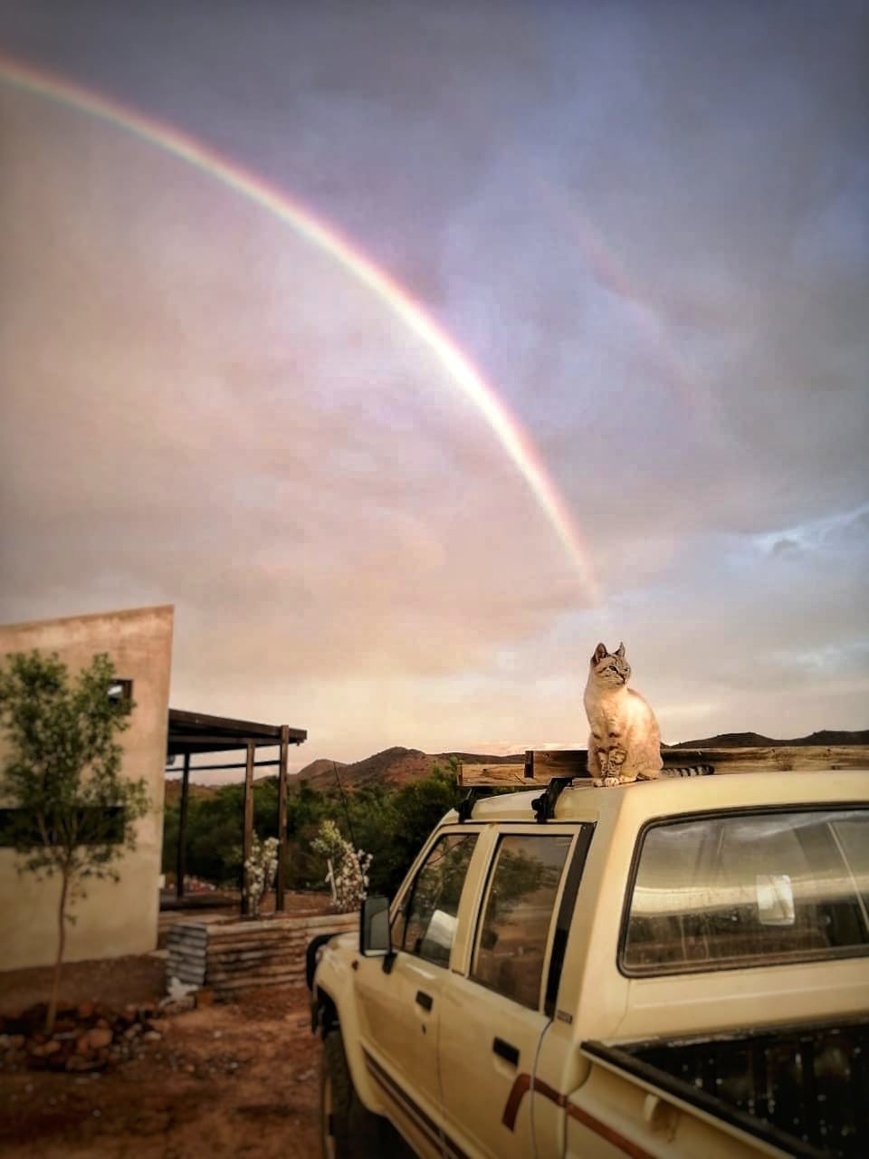 28. Ловец радуги