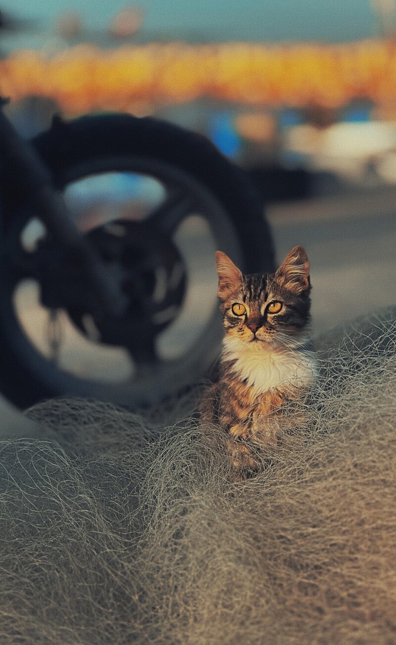 6. Тихая гавань