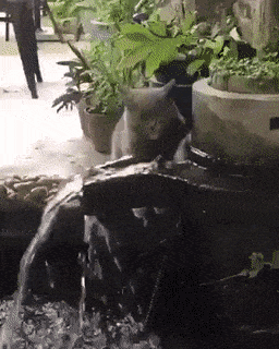 Просто гифки, всякие и&nbsp;разные