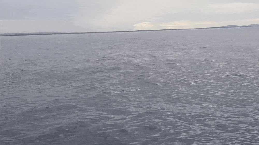 Просто гифки, всякие и&nbsp;разные