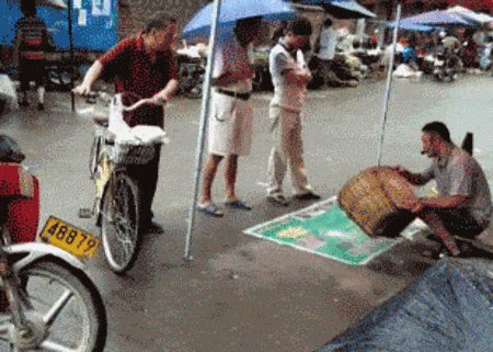 Просто гифки, всякие и&nbsp;разные