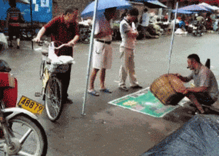 Просто гифки, всякие и&nbsp;разные