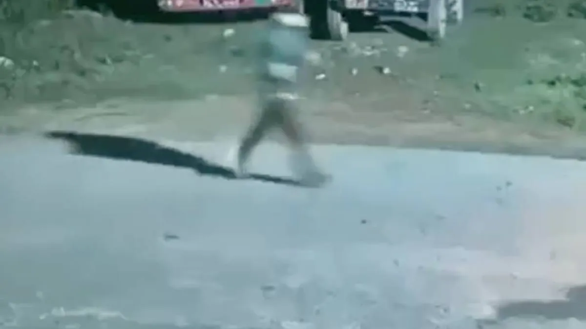 Пробежка обернулась паникой: мужчине пришлось спасаться бегством