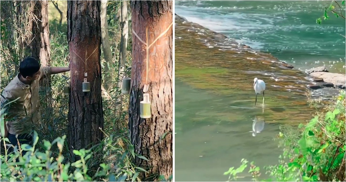 Как в древнем Китае изготавливали кисти