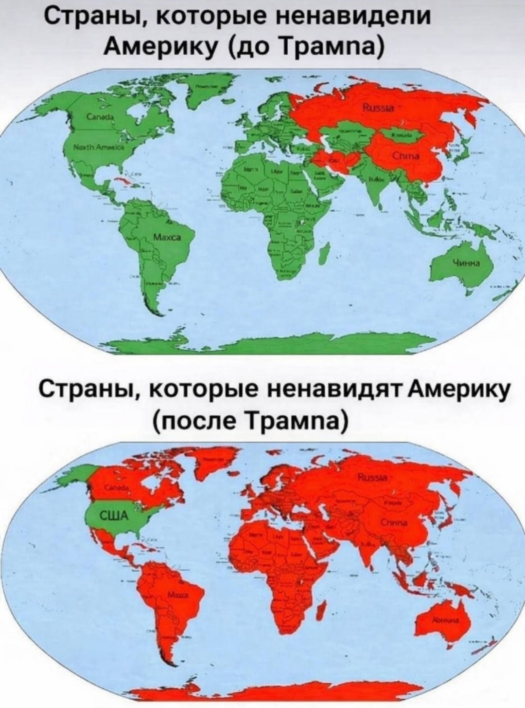 Даже, пингвины!