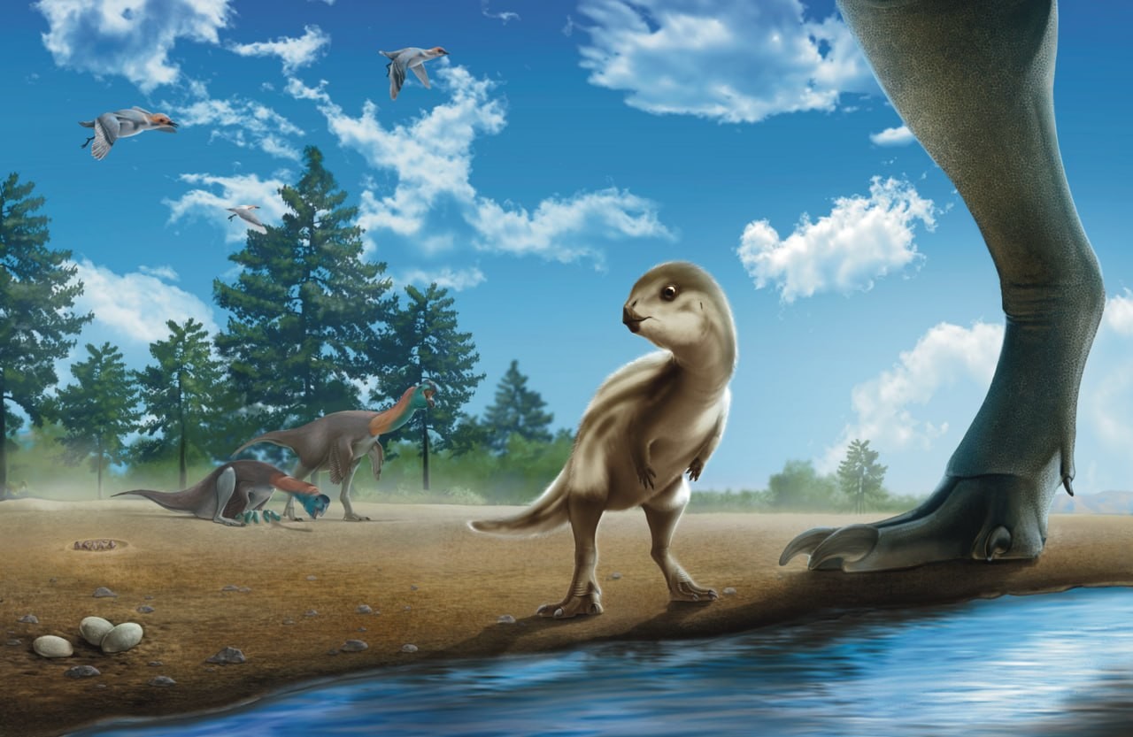 В Южной Корее откопали шерстяного динозавра