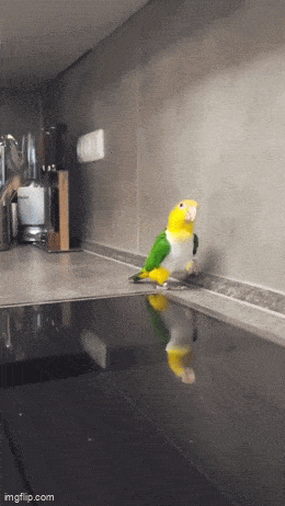 Просто гифки, всякие и&nbsp;разные