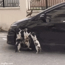 Просто гифки, всякие и&nbsp;разные