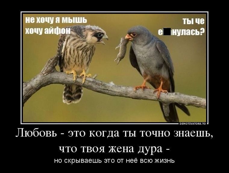 Демотиваторы, которые поднимут вам настроение