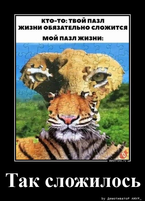 Демотиваторы, которые поднимут вам настроение