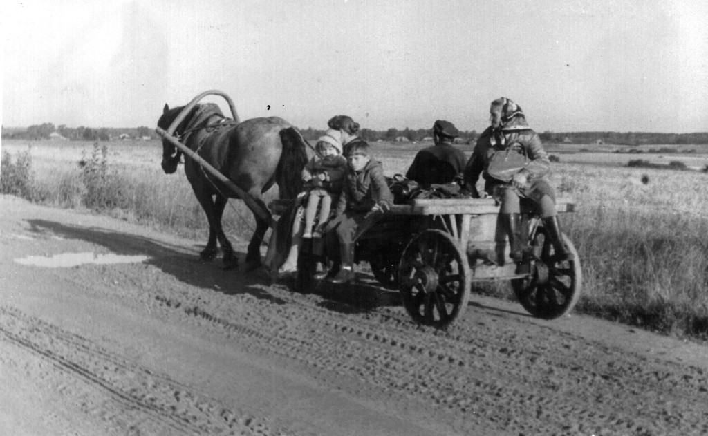 На телеге по большаку. 1978–1980 годы. Неизвестный автор.