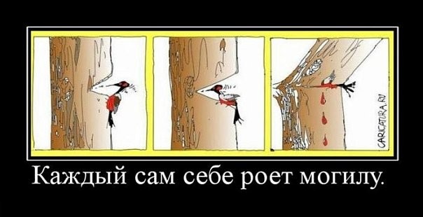 Демотиваторы от 2010 года