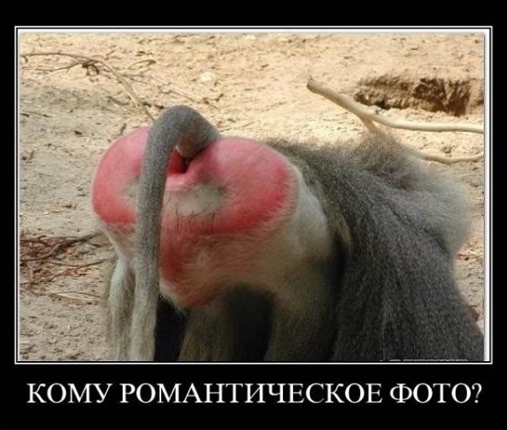 Демотиваторы от 2010 года