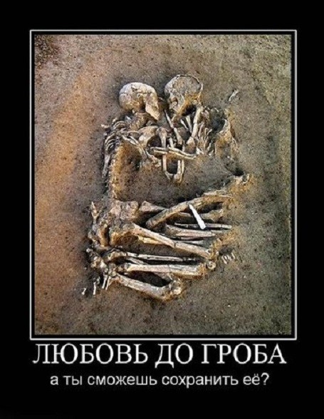 Демотиваторы от 2010 года